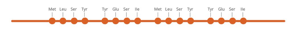Схема Белок