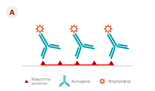 Тікелей ИГХ әдісі