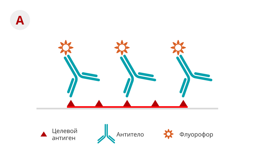 Прямой метод ИГХ