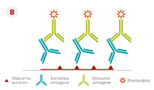 Жанама ИГХ әдісі