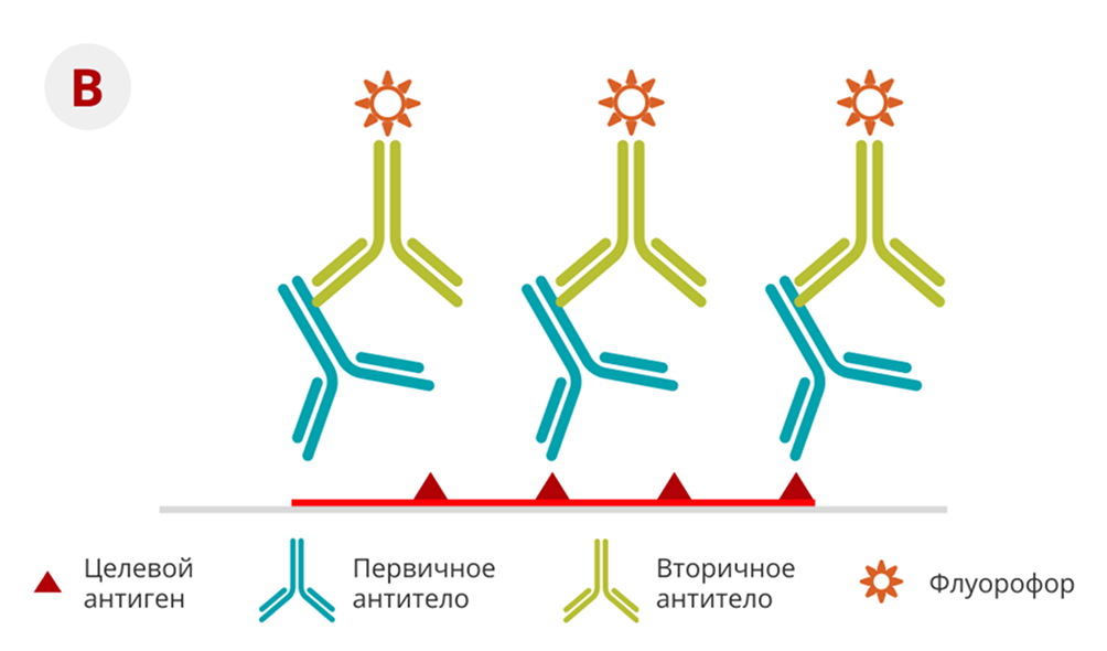 Непрямой метод ИГХ