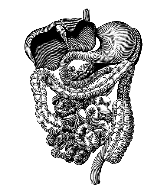 Крон ауруы ~ Ойық жаралы колит
