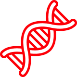 С протеинінің геніндегі мутациялармен